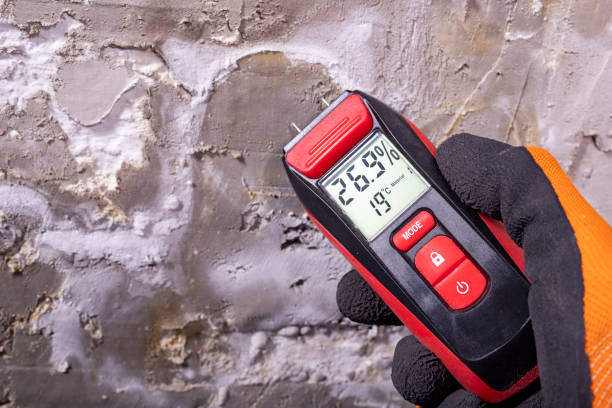 Best Mold Cleaning Services  in Nneconne, WI