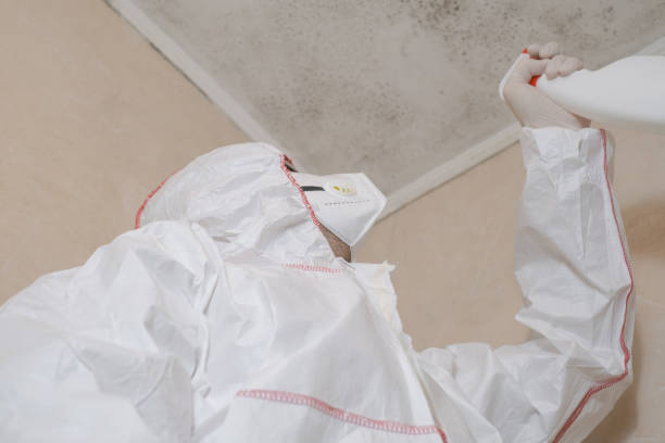 Best Residential Mold Removal  in Nneconne, WI