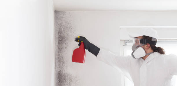 Best Emergency Mold Removal  in Nneconne, WI