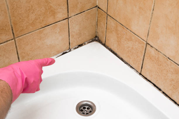 Best Professional Mold Removal  in Nneconne, WI